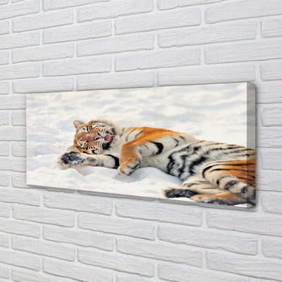 Obraz na plátne Tiger winter