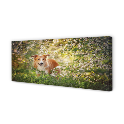 Obraz na plátne Psie lesné kvety