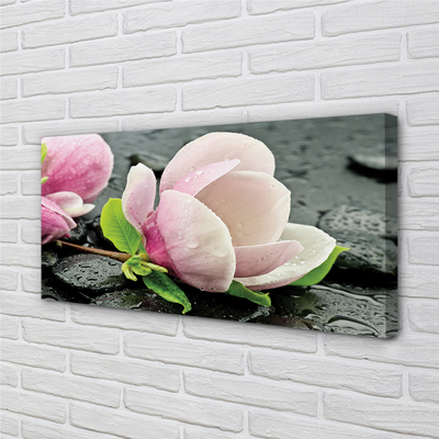 Obraz canvas Magnolia kamene