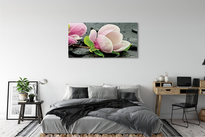 Obraz canvas Magnolia kamene