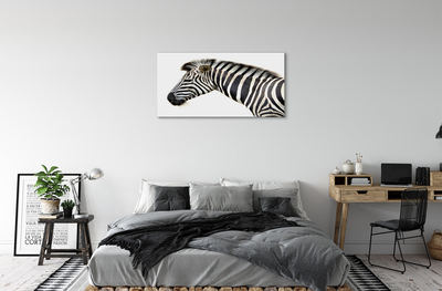 Obraz na plátne zebra