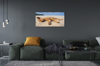 Obraz na plátne Ležiaci pes pláž