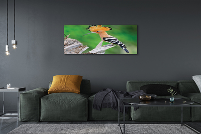 Obraz na plátne Strom farebný papagáj