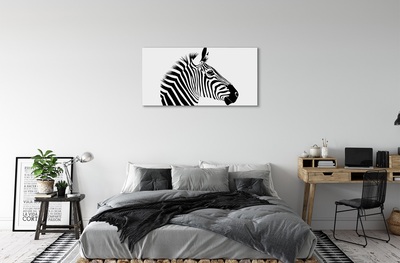 Obraz na plátne ilustrácie zebra