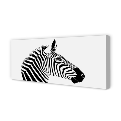 Obraz na plátne ilustrácie zebra