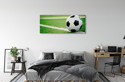 Obraz canvas futbalový trávnik