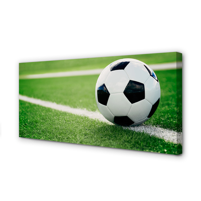 Obraz canvas futbalový trávnik