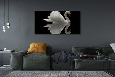 Obraz na plátne Swan v noci