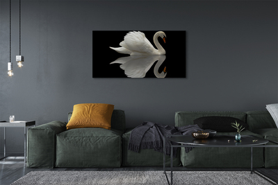 Obraz na plátne Swan v noci