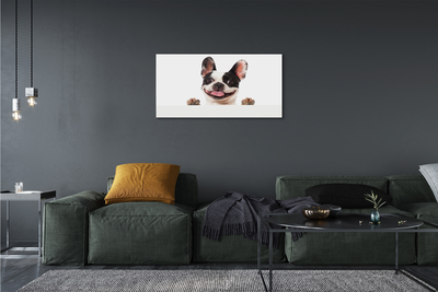 Obraz na plátne pes