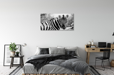 Obraz na plátne retro zebra