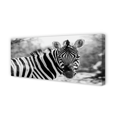 Obraz na plátne retro zebra