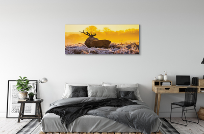 Obraz na plátne Jeleň zimné slnko