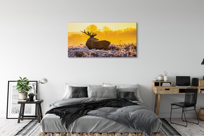 Obraz na plátne Jeleň zimné slnko