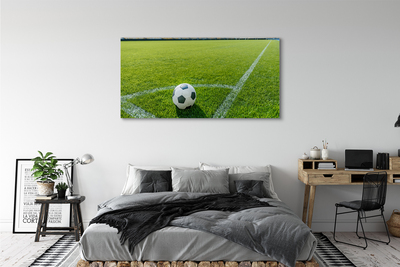 Obraz canvas Futbalový štadión trávy