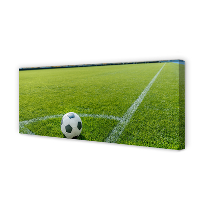 Obraz canvas Futbalový štadión trávy