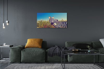 Obraz na plátne zebra kvety