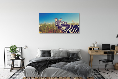 Obraz na plátne zebra kvety