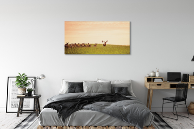 Obraz na plátne Stádo jeleňov poľa svitania