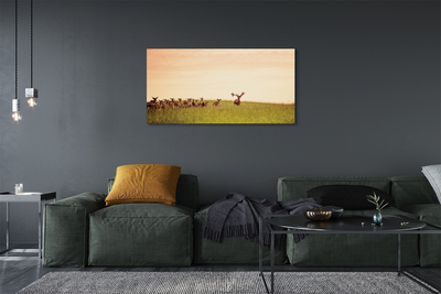 Obraz na plátne Stádo jeleňov poľa svitania