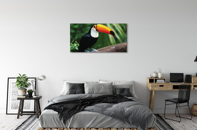 Obraz na plátne Tukan na vetve