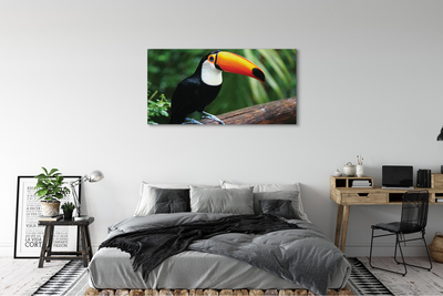 Obraz na plátne Tukan na vetve