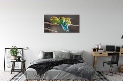Obraz na plátne Vtáky na vetve