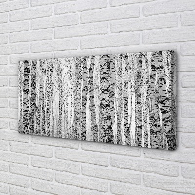Obraz canvas Čierna a biela breza