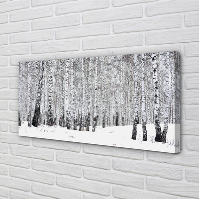 Obraz canvas zimný brezy