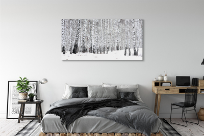Obraz canvas zimný brezy