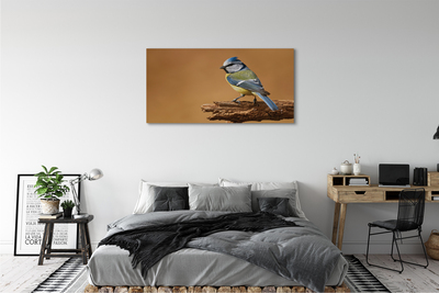 Obraz na plátne Vták