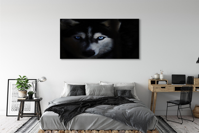 Obraz na plátne wolf Eyes