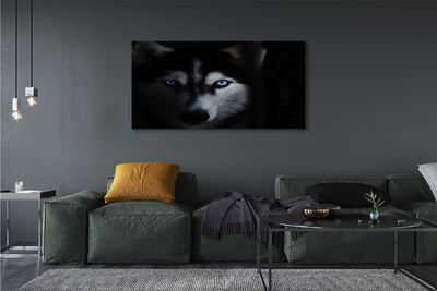 Obraz na plátne wolf Eyes