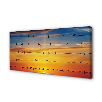 Obraz na plátne Vtáky na lanách západu slnka
