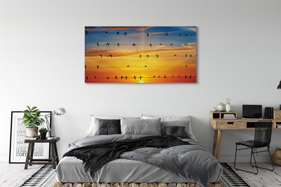 Obraz na plátne Vtáky na lanách západu slnka