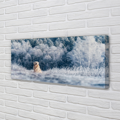 Obraz na plátne Zime salašnícky pes