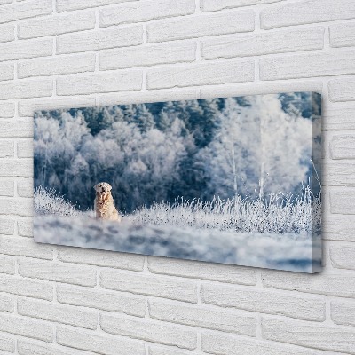 Obraz na plátne Zime salašnícky pes