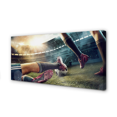 Obraz canvas Korky futbalový štadión