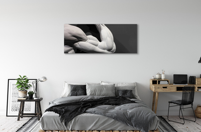 Obraz canvas Sval black and white