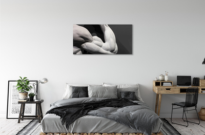 Obraz canvas Sval black and white