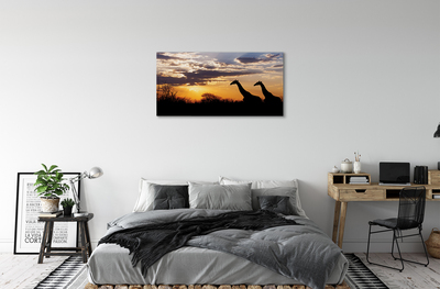 Obraz canvas Žirafy strom mraky