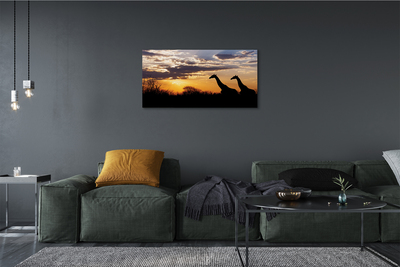 Obraz canvas Žirafy strom mraky