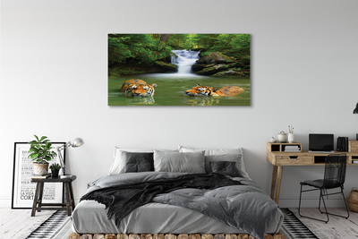 Obraz na plátne vodopád tigre