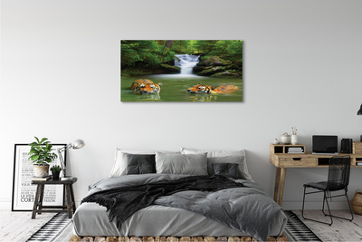Obraz na plátne vodopád tigre