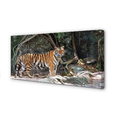 Obraz na plátne tiger džungle