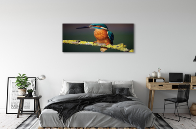 Obraz na plátne Farebný vták na vetve