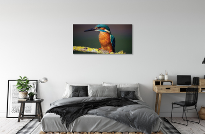 Obraz na plátne Farebný vták na vetve