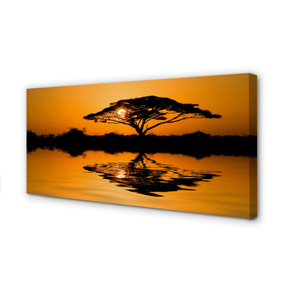 Obraz canvas Sunset tree