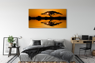 Obraz canvas Sunset tree