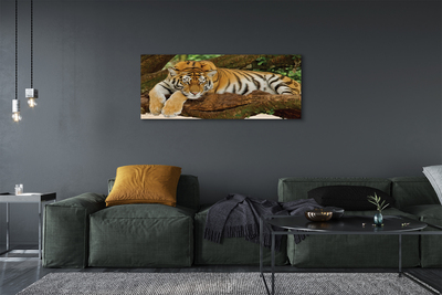 Obraz na plátne tiger tree